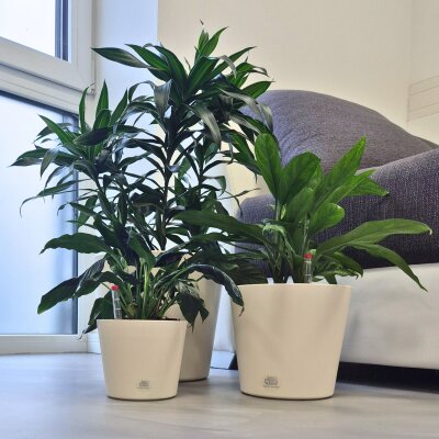 Flori Blumentopf Kunststoff matt genarbt