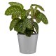 Flori Blumentopf Kunststoff matt genarbt