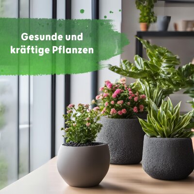 Blusana Flüssig Dünger Bims & Lava 1 l Flasche