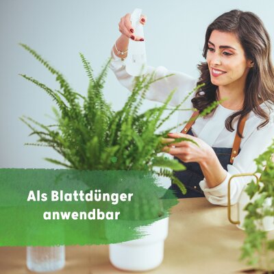 Blusana Flüssig Dünger Bims & Lava 1 l Flasche