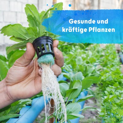 Blusana Flüssig Dünger Hydroponik 1 l Flasche