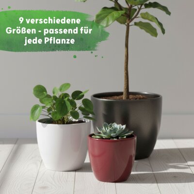 Sylt Keramik glänzend