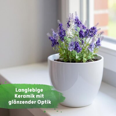 Sylt Keramik glänzend