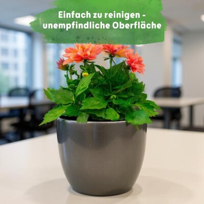 Sylt Keramik glänzend
