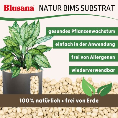 Blusana Bims Pflanzsubstrat Körnung 8-16 mm