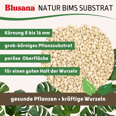 Blusana Bims Pflanzsubstrat Körnung 8-16 mm