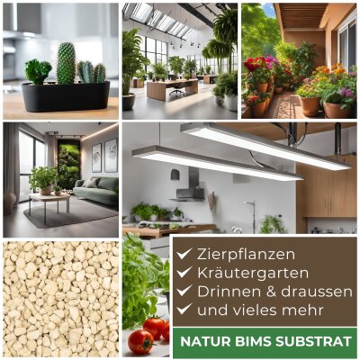 Blusana Bims Pflanzsubstrat Körnung 8-16 mm