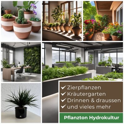 Blusana Pflanzton Körnung 2-4 mm