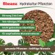 Blusana Pflanzton Körnung 2-4 mm