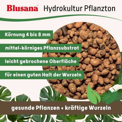 Blusana Pflanzton Körnung 4-8 mm
