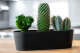 Flori Jardiniere Kunststoff matt genarbt