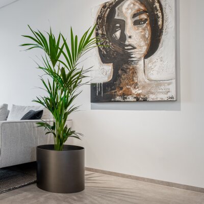 Elegance rund 37