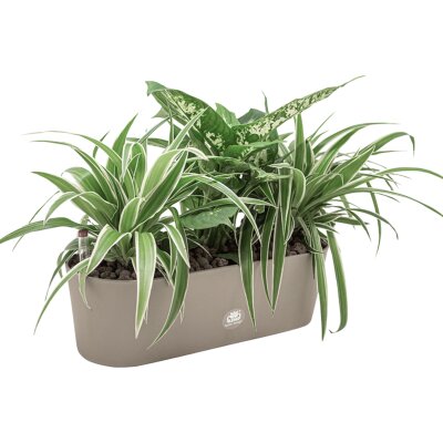 Flori Jardiniere 50/12