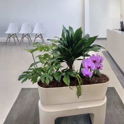 Flori Jardiniere 50/12