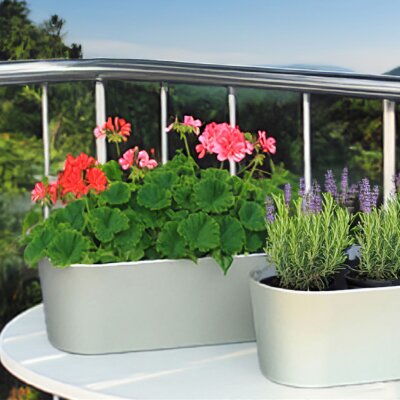 Flori Jardiniere 50/12