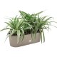 Flori Jardiniere 50/12