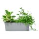 Flori Jardiniere 50/12