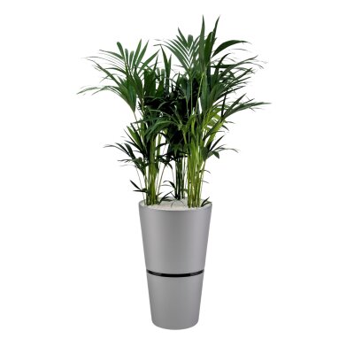Flori Duo rund 50 -OBEN
