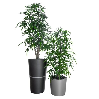 Flori Duo Scheibe rund