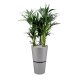 Flori Duo Scheibe rund