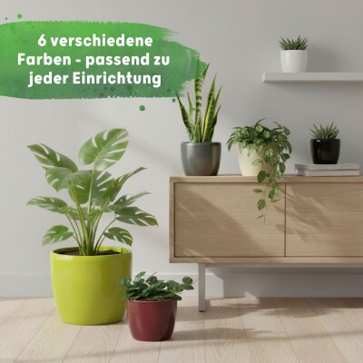 Venus Blumentopf Keramik
