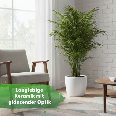Venus Blumentopf Keramik