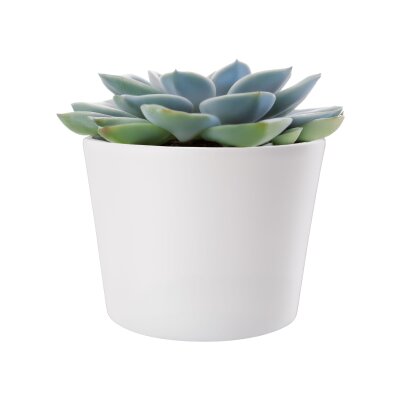 Vasa Blumentopf Keramik