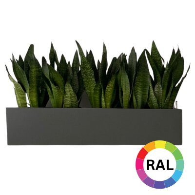 Elegance Wandgefäß rechteckig 100X22/22