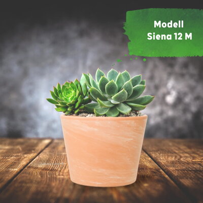 Siena Terrakotta Blumentopf Keramik