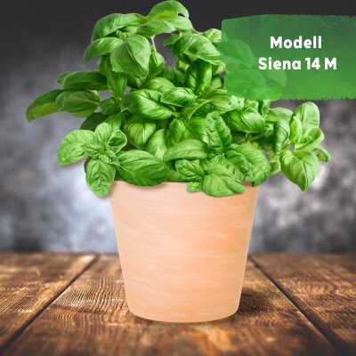 Siena Terrakotta Blumentopf Keramik