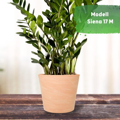 Siena Terrakotta Blumentopf Keramik