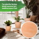 Siena Terrakotta Blumentopf Keramik