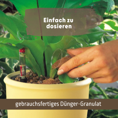 Blusana Langzeitdünger Lewatit HD 50