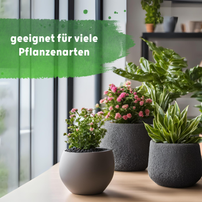 Blusana Langzeitdünger Lewatit HD 50