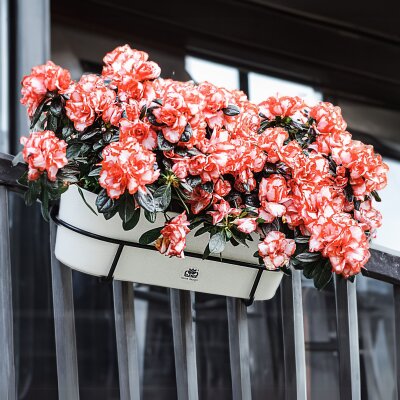 Balkonhalterung für Flori Jardiniere