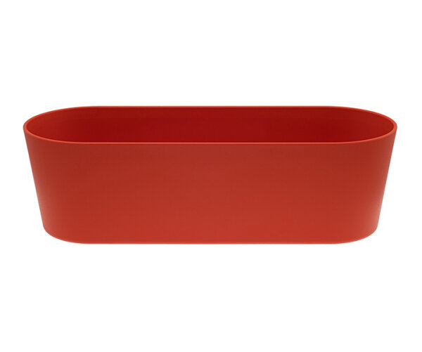 Rot